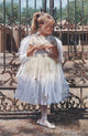Steve Hanks - Angel at the Gate