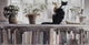 Steve Hanks - Bookends