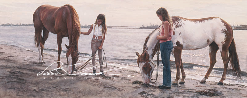 Steve Hanks - Connections