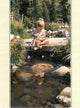 Steve Hanks - Sending Flowers Blank Card