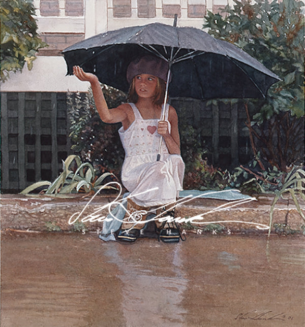 Steve Hanks - Catching the Rain