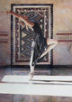 Steve Hanks - Southwest Ballet